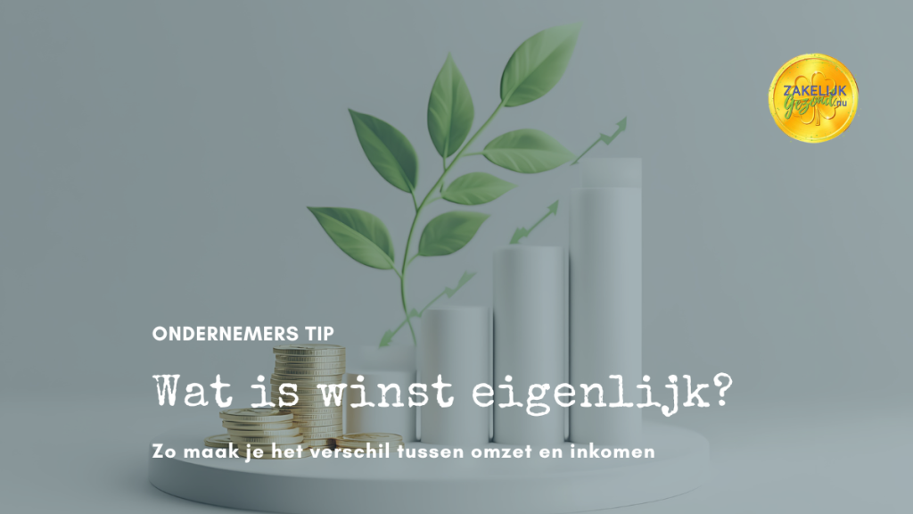 Wat is winst eigenlijk. Zo maak je het verschil tussen omzet en inkomen.